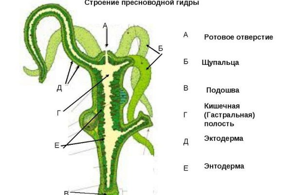 Как зайти в кракен